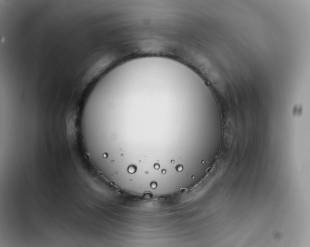 X0000102510116200808221827