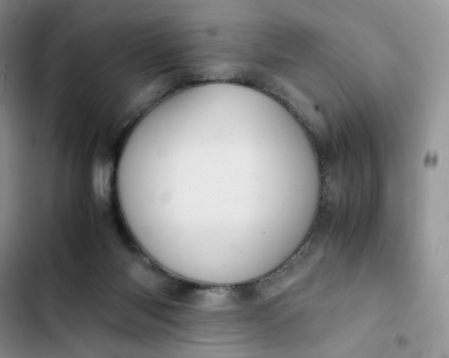 X0000102510118200808221827
