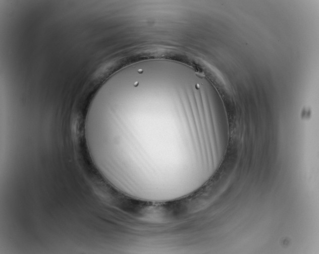 X0000102510119200808221827