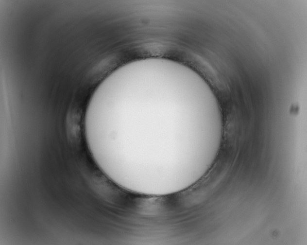 X0000102510122200808221827
