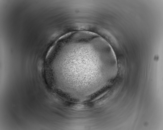 X0000102510123200808221827