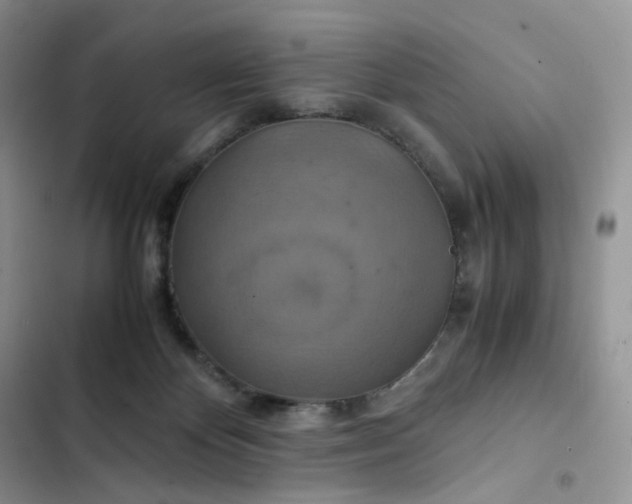 X0000102510124200808221827