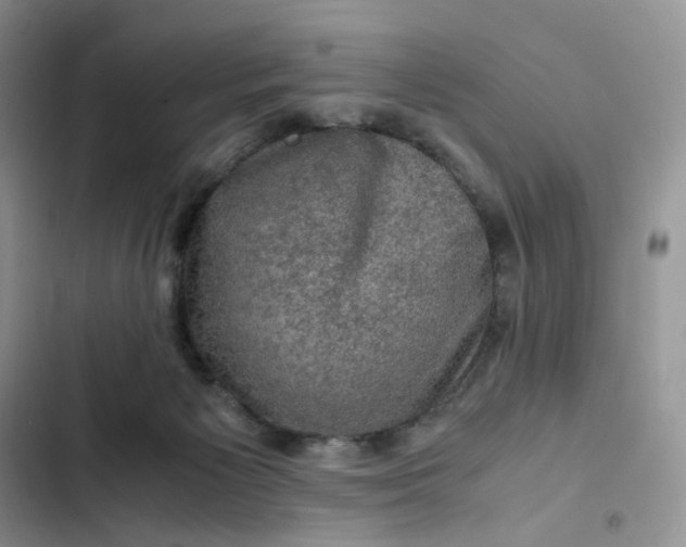 X0000102510125200808221827