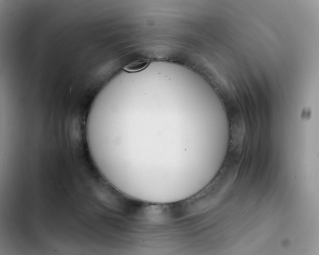 X0000102510126200808221827