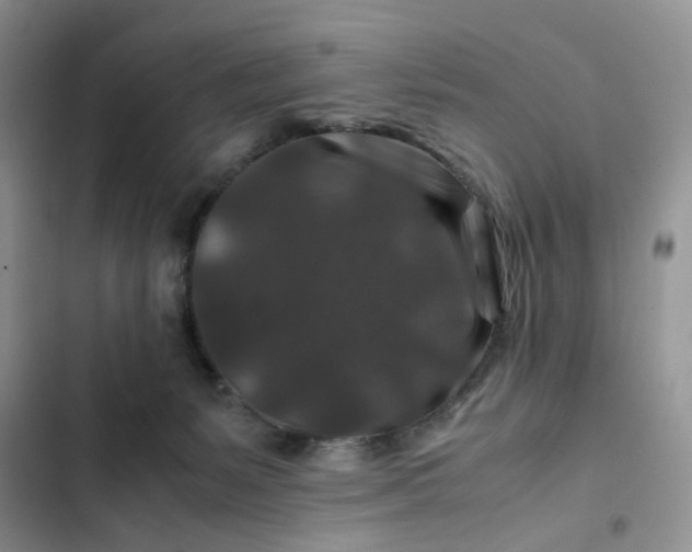 X0000102510127200808221827