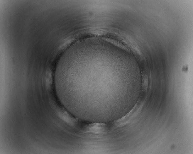 X0000102510128200808221827