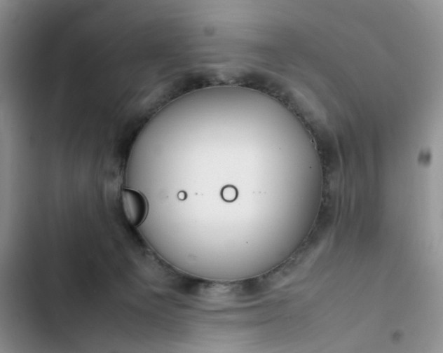 X0000102510129200808221827