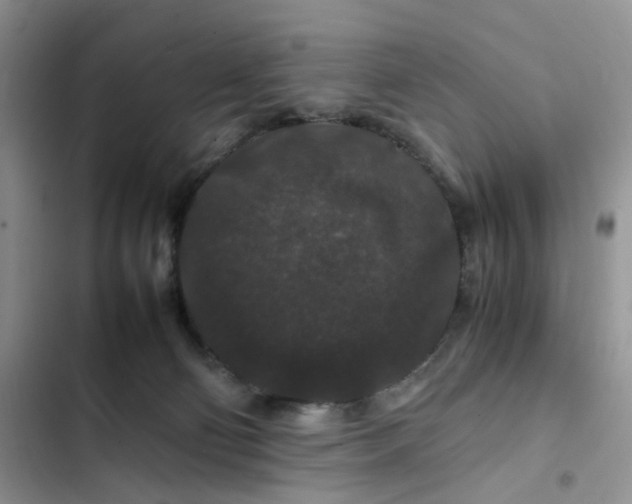 X0000102510130200808221827