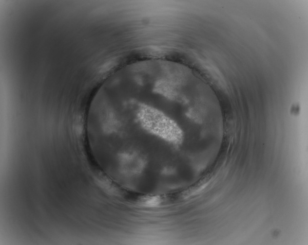 X0000102510131200808221827