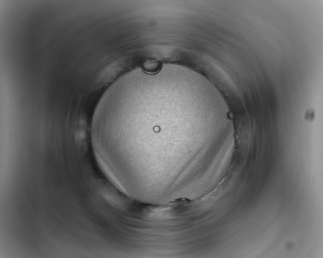 X0000102510132200808221827