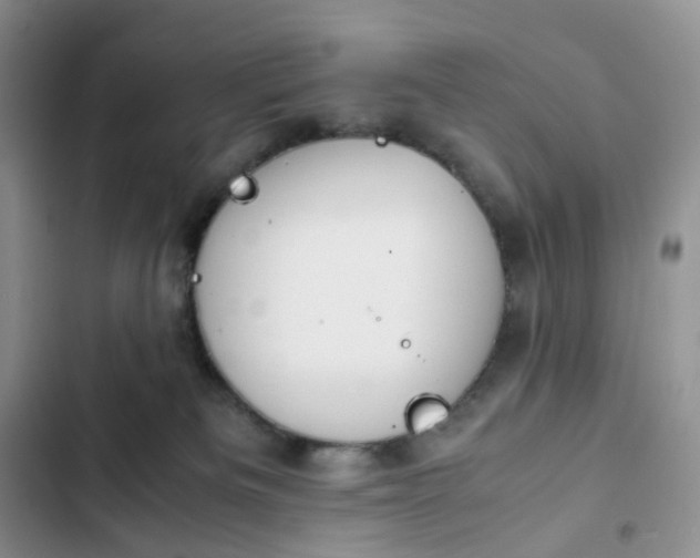 X0000102510133200808221827