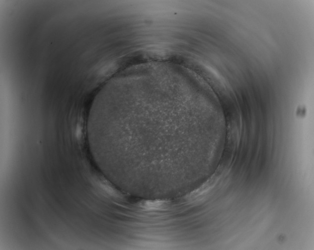 X0000102510134200808221827