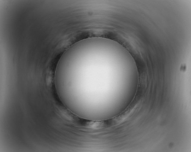 X0000102510135200808221827