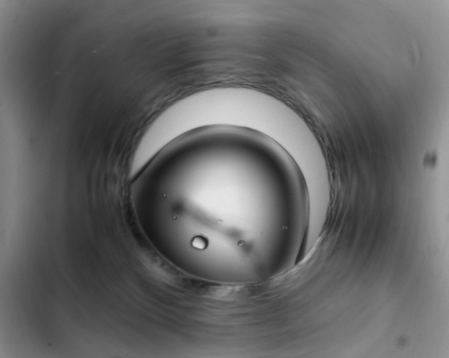X0000102510136200808221826