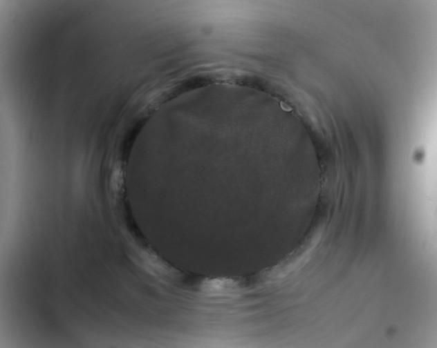 X0000102510137200808221826