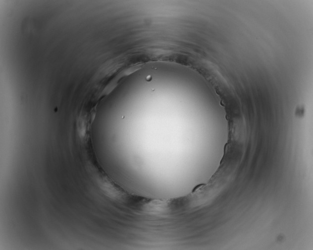 X0000102510138200808221826