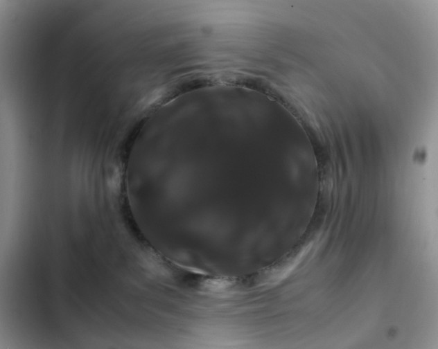 X0000102510139200808221826