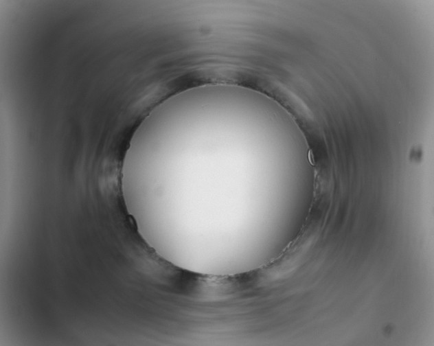X0000102510141200808221826