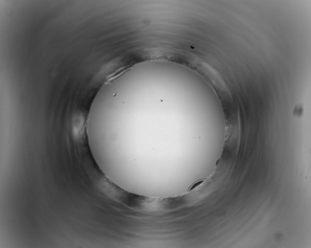 X0000102510142200808221826