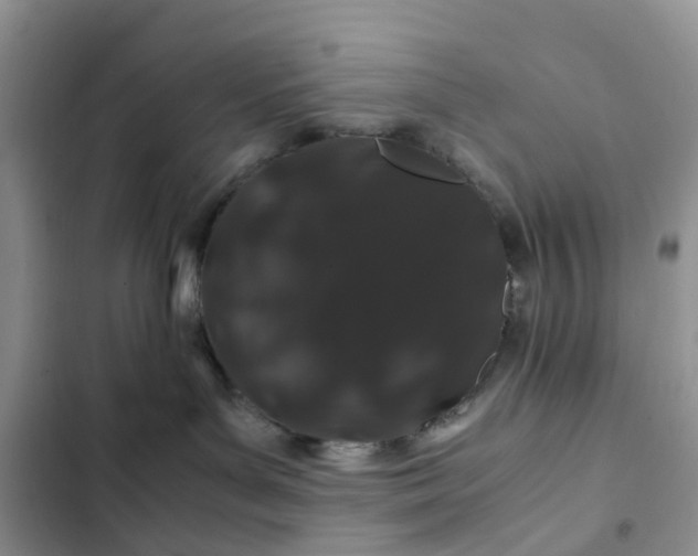X0000102510143200808221826