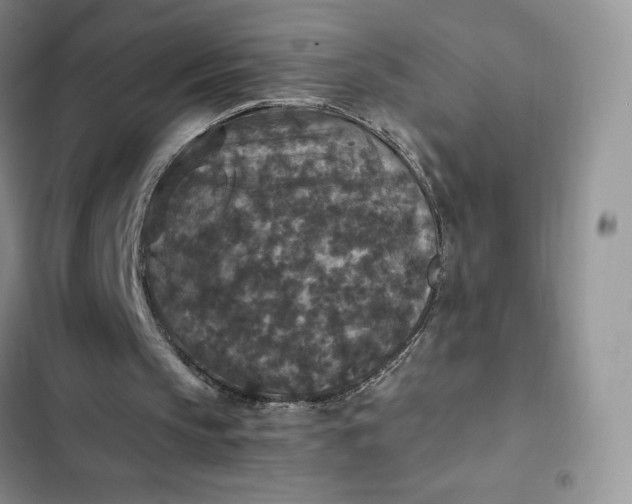 X0000102510145200808221825