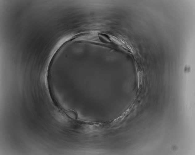 X0000102510147200808221826