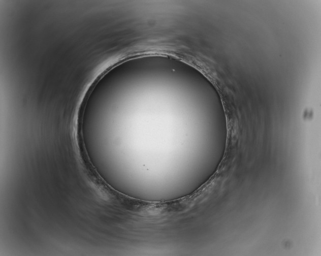 X0000102510148200808221826
