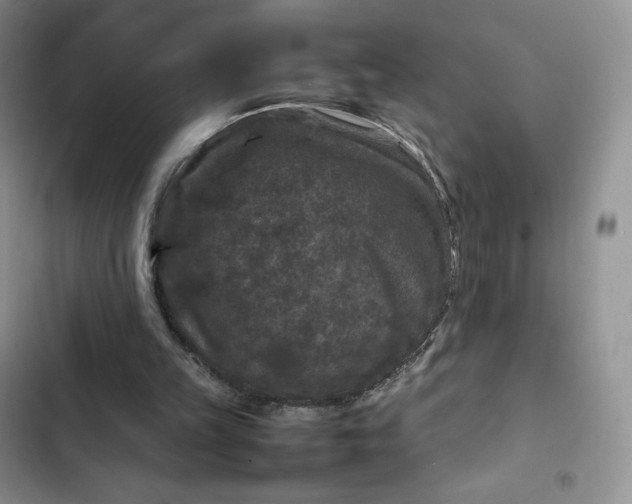 X0000102510149200808221826