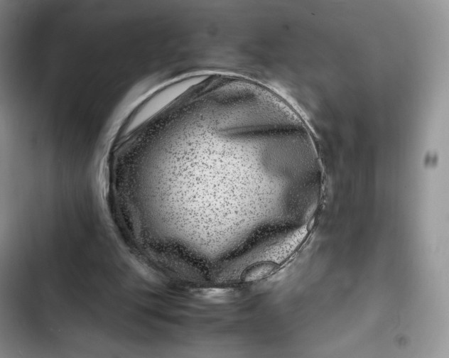 X0000102510151200808221826