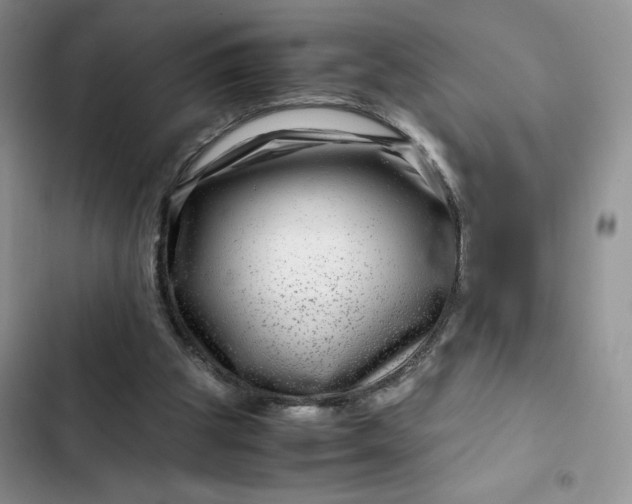 X0000102510153200808221826
