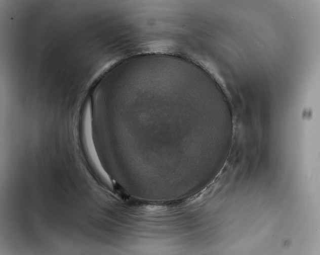 X0000102510154200808221826