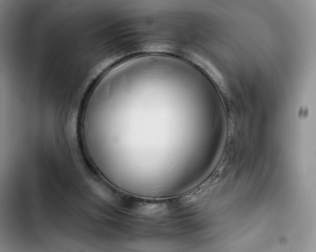 X0000102510155200808221826