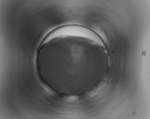 X0000102510156200808221826