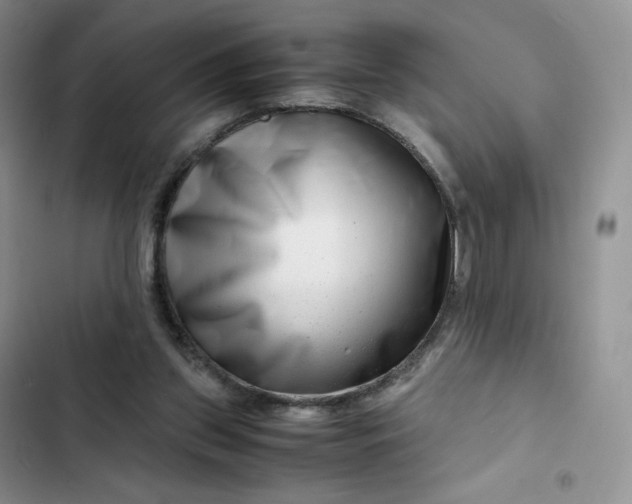 X0000102510157200808221826