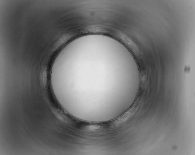X0000102510158200808221826