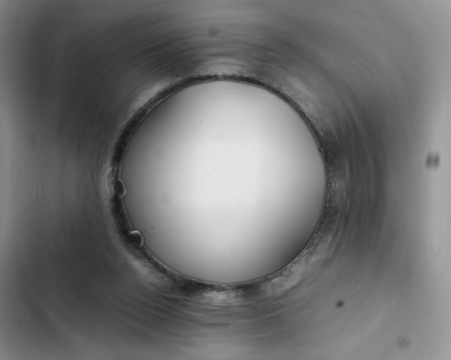 X0000102510160200808221826