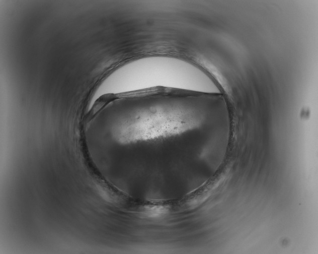 X0000102510161200808221826