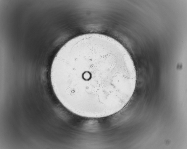 X0000102510162200808221826