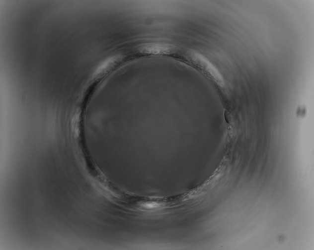 X0000102510163200808221826