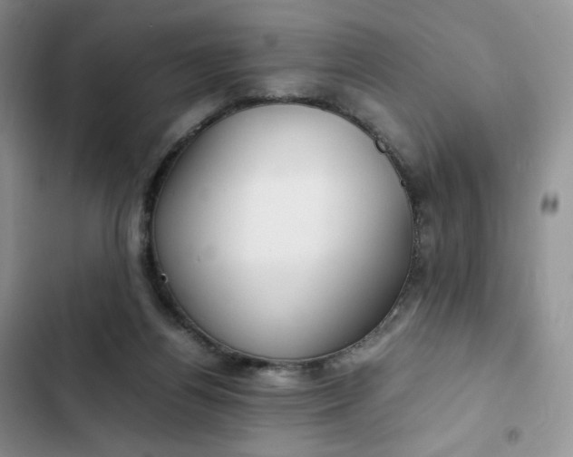 X0000102510164200808221826