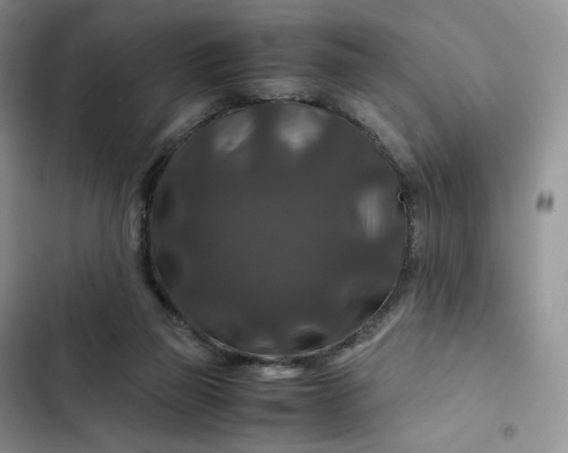 X0000102510165200808221826