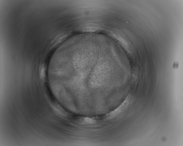 X0000102510166200808221826