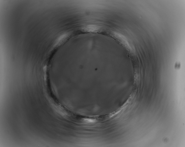 X0000102510167200808221826