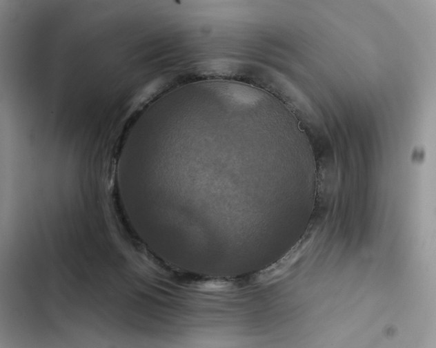X0000102510168200808221826