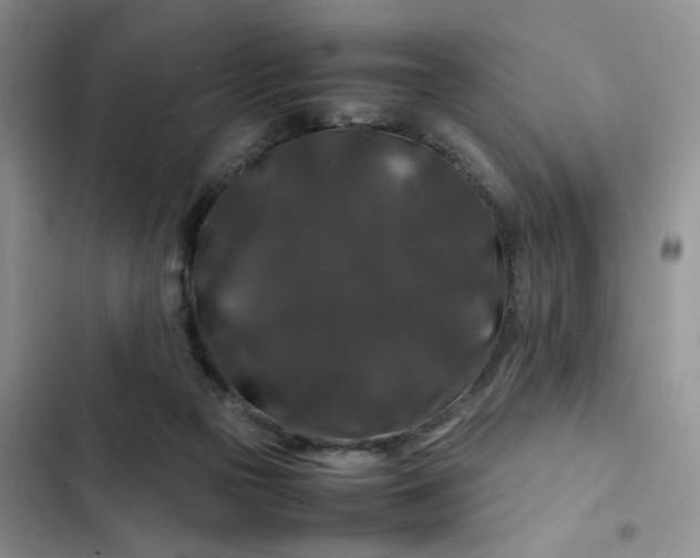 X0000102510169200808221826