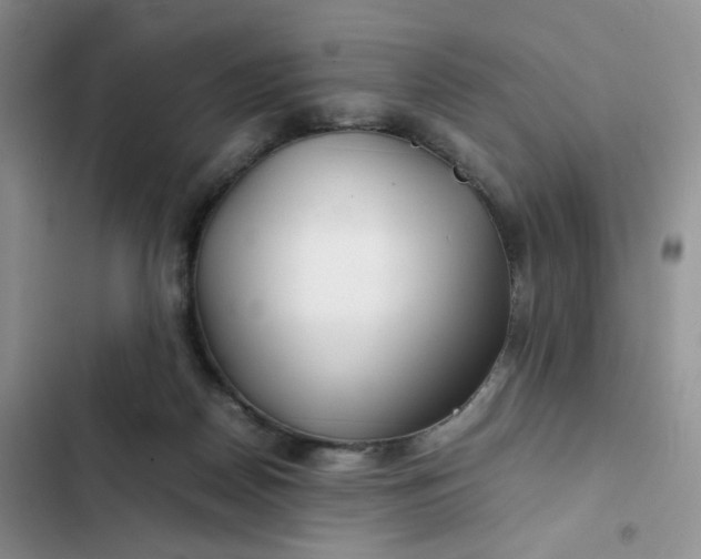 X0000102510170200808221826