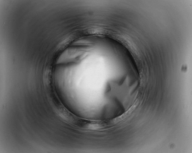 X0000102510171200808221826