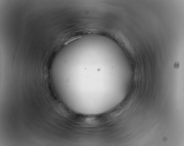 X0000102510173200808221826