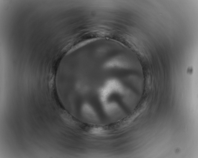 X0000102510177200808221826