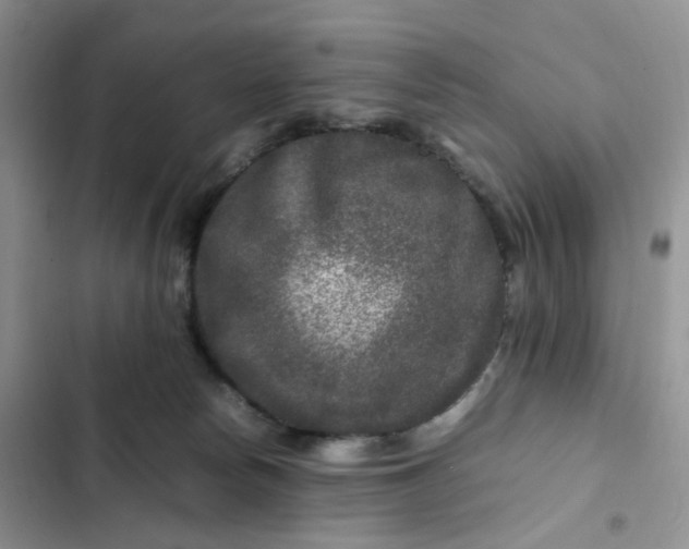 X0000102510178200808221826